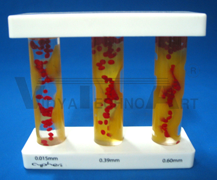 occlusion artery model